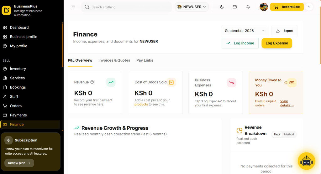 P&L Financial Ledger & Revenue Analytics